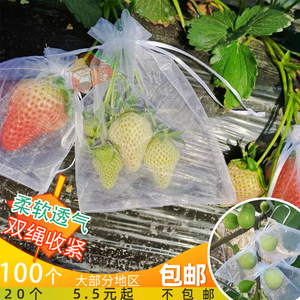 草莓水果防虫防鸟保护袋果实网袋番茄无花果葡萄透气水果套袋纱袋