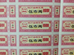 布票版票收藏-四川棉花票1981年五两一版100张超大版张 2（背白）