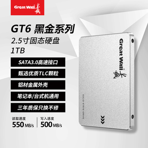 Great  Wall/长城GT6全新1T2T固态硬盘2.5寸SSD硬盘