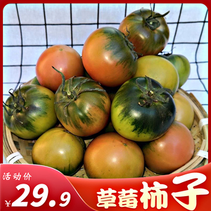 正宗山东铁皮柿子3/5斤装草莓西红柿新鲜应季生吃水果碱地大番茄