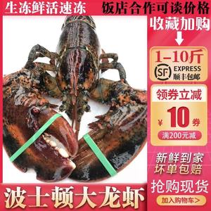 波士顿大龙虾鲜活速冻虾加拿大龙虾大龙虾深海野生龙虾1-15斤海鲜