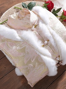 冬季复古中国风年轻款少女夹棉加厚保暖改良旗袍唐装上衣棉袄中式