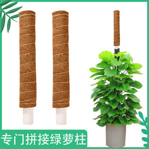 拼接大叶绿萝柱专用椰棕棒爬藤花架天然椰丝棕榈柱攀爬植物支撑杆