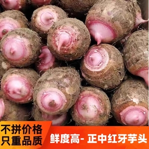 浙江红芽芋头5斤软糯毛芋艿荔浦新鲜奶油香小芋头蔬菜当季粉糯芋