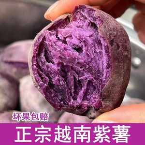 2023越南小紫薯新鲜正宗高端粉糯紫心红薯农家自种现挖沙地番薯仔