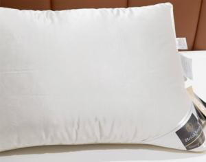 德国Brinkhaus原装进口北极鸭绒绒枕助睡眠护颈枕羽绒鹅绒枕枕芯
