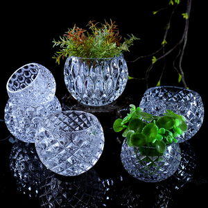 水培植物玻璃瓶桌面客厅吊兰花盆创意个性透明铜钱草水养室内花瓶