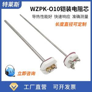 铠装热电偶/热电阻芯 WRNK/WZPK-010 K型俩线 PT100型三线 耐高温