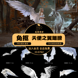 20张高清天使之翼翅膀摄影图片后期叠加合成免抠PNG图片设计素材
