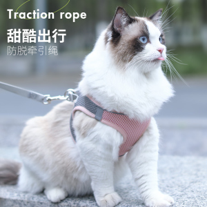 猫咪牵引绳防挣脱外出专用遛猫绳子溜猫链子胸背带小宠物用品大全
