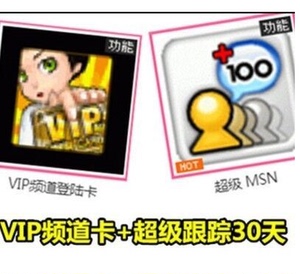 劲舞团热卖超级 MSN跟踪器+VIP频道登录卡免挤卡30天 一个月特价