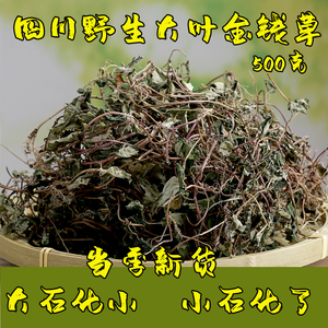 四川野生大叶金钱草散装500克新货干草药金前草茶过路黄