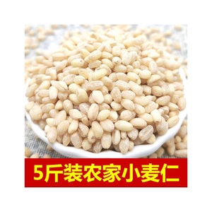 2023新货农家自产新鲜小麦仁脱皮麦仁米煮粥用五谷杂粮米去皮小麦