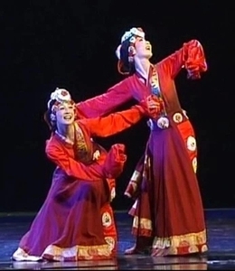 藏族舞蹈服装心声表演服服藏服学生演出服民族舞台服女裙