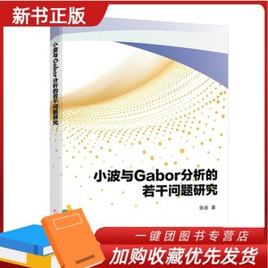 2024新书 小波与Gabor分析的若干问题研究 张岩 高维Lebesgue空间 Gabor框架理论 数学专业小波分析研究方向研究生教材书籍