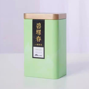 宋品碧螺春茶叶2023新茶浓香型高山绿茶罐装散装自己喝