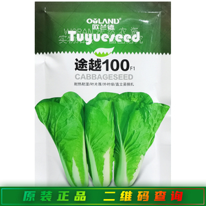 欧兰德途越100小白菜种子耐热耐湿四季奶油快菜德高536蔬菜种籽孑