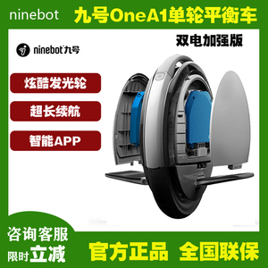 Ninebot One 九号A1独轮平衡车双电升级成人电动单轮平衡车代步车