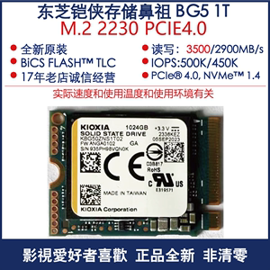 东芝 BG5 BG6 1T/2T 2230 2242 转CFE-b 固态硬盘