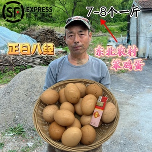 东北辽宁农村笨鸡蛋散养溜达鸡鸡蛋土鸡蛋月子鸡蛋顺丰包邮30枚