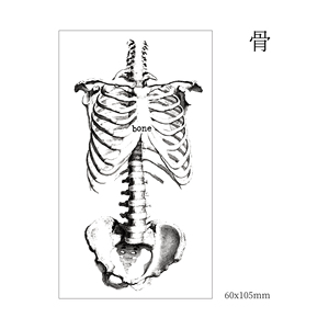 SHIBOKA | 亚克力手帐印章「骨」人体骨骼骨架骨头 复古百搭装饰