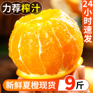 正宗湖北秭归夏橙新鲜水果当季整箱橙子10斤果冻甜橙纯甜手剥橙