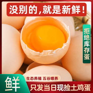 正宗农家土鸡蛋新鲜鸡蛋整箱40枚橘园农家生态散养现捡当日柴鸡蛋