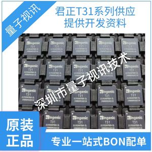 T31L   北京君正SOC芯片  全新原装 提供开发资料