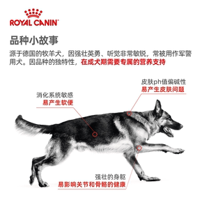 Royal Canin皇家狗粮 德牧幼犬成犬粮AGS30/GS24 12KG 大型犬主粮