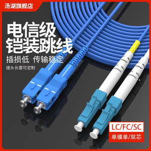 汤湖 3米LC-LC防鼠SCFC铠装光纤跳线单模双芯单芯尾纤定做长度接头5米10米15米电信级（单模双/单芯）