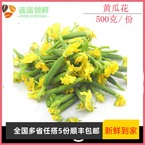 小黄瓜花新鲜蔬菜顶花黄瓜小青瓜花迷你黄瓜苗酒店配菜250克/份