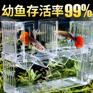鱼缸隔离盒孔雀鱼繁殖盒热带鱼小鱼苗幼鱼孵化盒凤尾产子箱分隔器