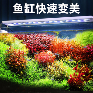 鱼缸led防溅水照明专用全光谱小型增艳支架灯架水族箱爆藻水草灯