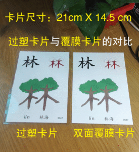 幼儿园认字教学大卡片学龄前儿童启蒙早教识字