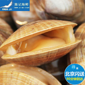 北京闪送超值现货丹东鲜活黄蚬子大黄蚬新鲜蛤蜊贝类500g海鲜水产