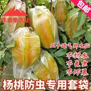 杨桃套袋防虫专用袋水果套袋促生长透明保护薄膜袋番石榴水果通用