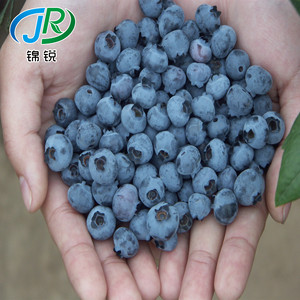 蓝莓专用气调保鲜袋1-2斤装 果蔬市场袋水果防雾塑料袋可定做批发
