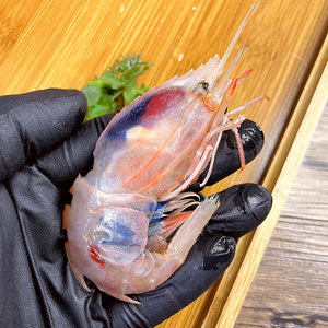 超大牡丹虾刺身生吃深海海鲜虾鲜活速冻水产海捕非加拿大甜虾海虾