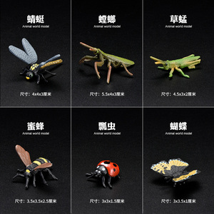 儿童仿真迷你昆虫动物玩具模型螳螂瓢虫蜘蛛蝎子蟋蟀蚂蚱蜻蜓蜜蜂