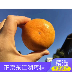 东江湖蜜桔无籽橘子当季时令新鲜水果皮薄多汁农产品似涌泉十包邮