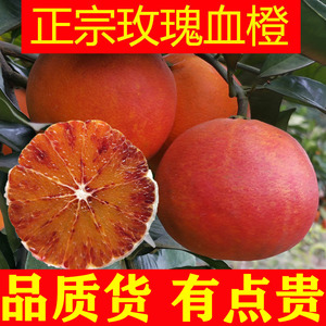 重庆精品玫瑰血橙新鲜水果10斤特级大果香甜红橙子塔罗科当季包邮