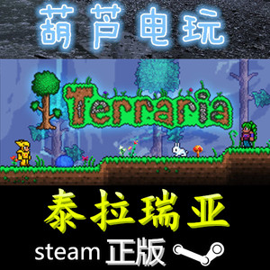 steam正版 泰拉瑞亚 Terraria 国区全球区礼物发送 中文联机游戏