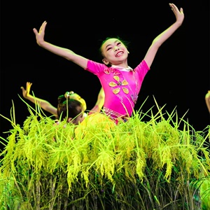 第十届小荷风采我们的田野舞蹈服元旦儿童灯笼演出服舞台麦穗道具