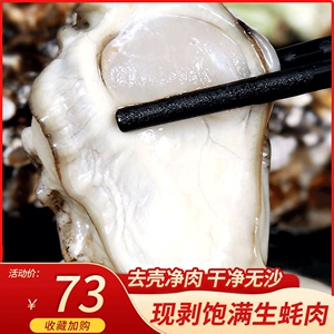 尚致 鲜剥去壳海蛎子肉鲜活现剥1000g生蚝肉冷冻新鲜海鲜牡蛎肉