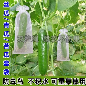 丝瓜黄瓜青瓜苦瓜套袋专用袋防虫袋保护套瓜果蔬菜水果瓜果网套袋