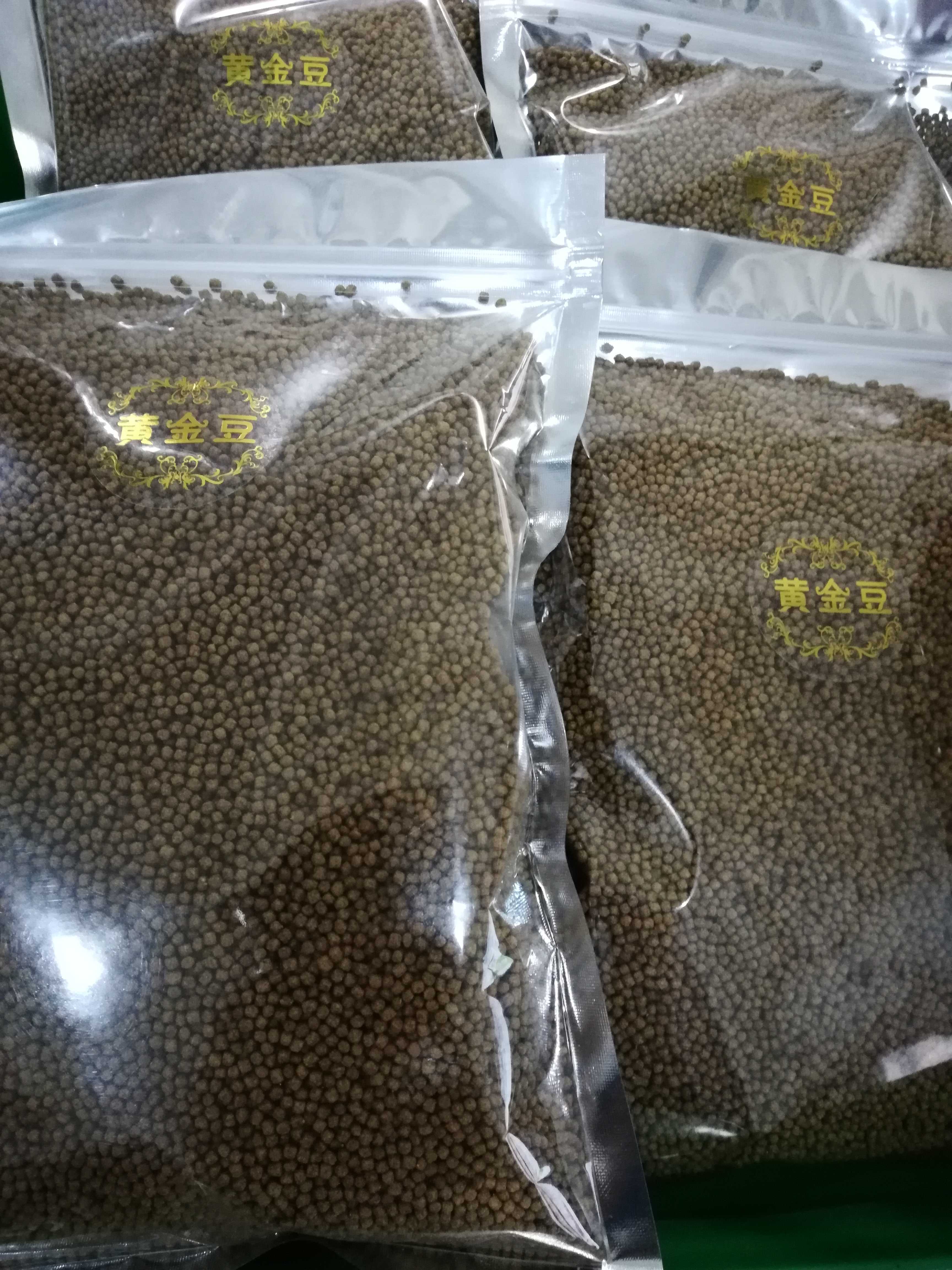特制黄金豆粒粒成黄金粒金米粒厂家定制高蛋白膨化浮水颗粒饵