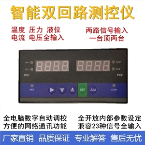 D823智能双回路测控仪温度压力液位显示控制器两路数显报警控制仪