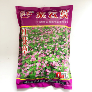 紫云英种子红花草籽可食用园林景观养蜂蜜源高产固氮果园绿肥植物