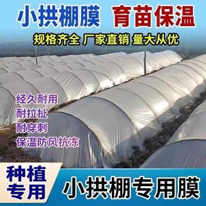 透明塑料薄膜塑料布小拱棚膜大棚膜地膜农用育苗防寒保温种菜防尘