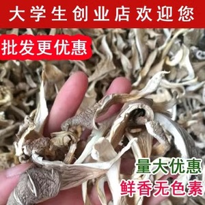 平菇干货500g包邮家庭食用菌凤尾菇白平菇散装干蘑菇片干平菇菌包